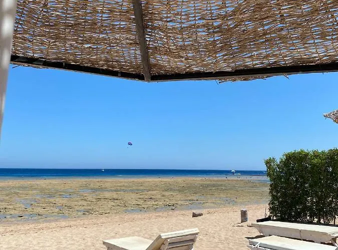 Sunny Sheikh Apartman